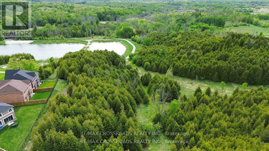 50 Carriage Shop Bend, East Gwillimbury, ON - Outdoor With View
