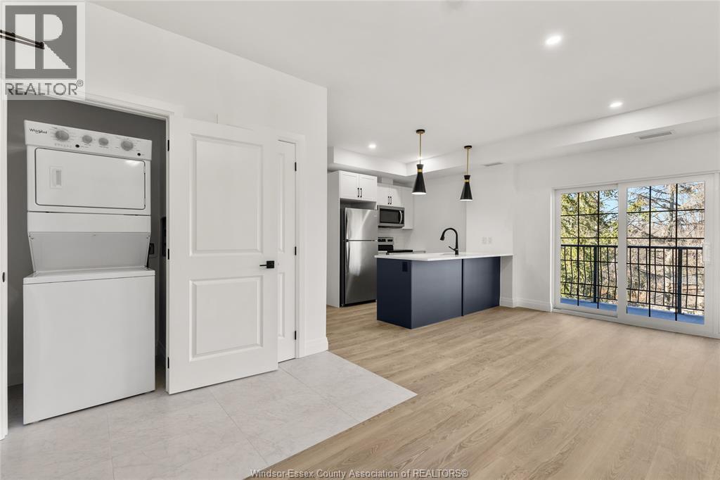 3817 Howard Avenue Unit# 313, Windsor, ON - Indoor Photo Showing Laundry Room