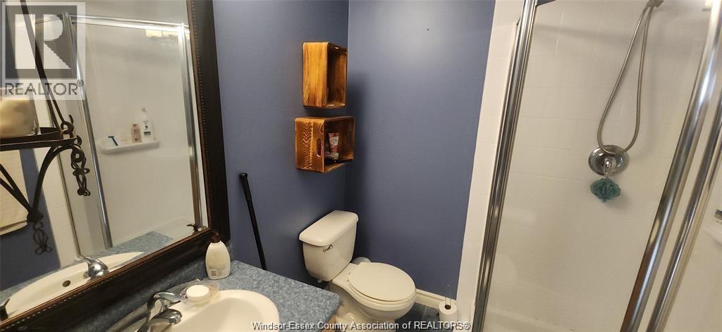 4369 Northwood Lakes, Windsor, ON - Indoor Photo Showing Bathroom