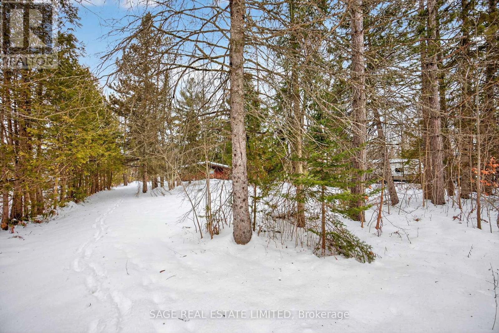 7856 Birch Drive, Ramara, ON - Outdoor