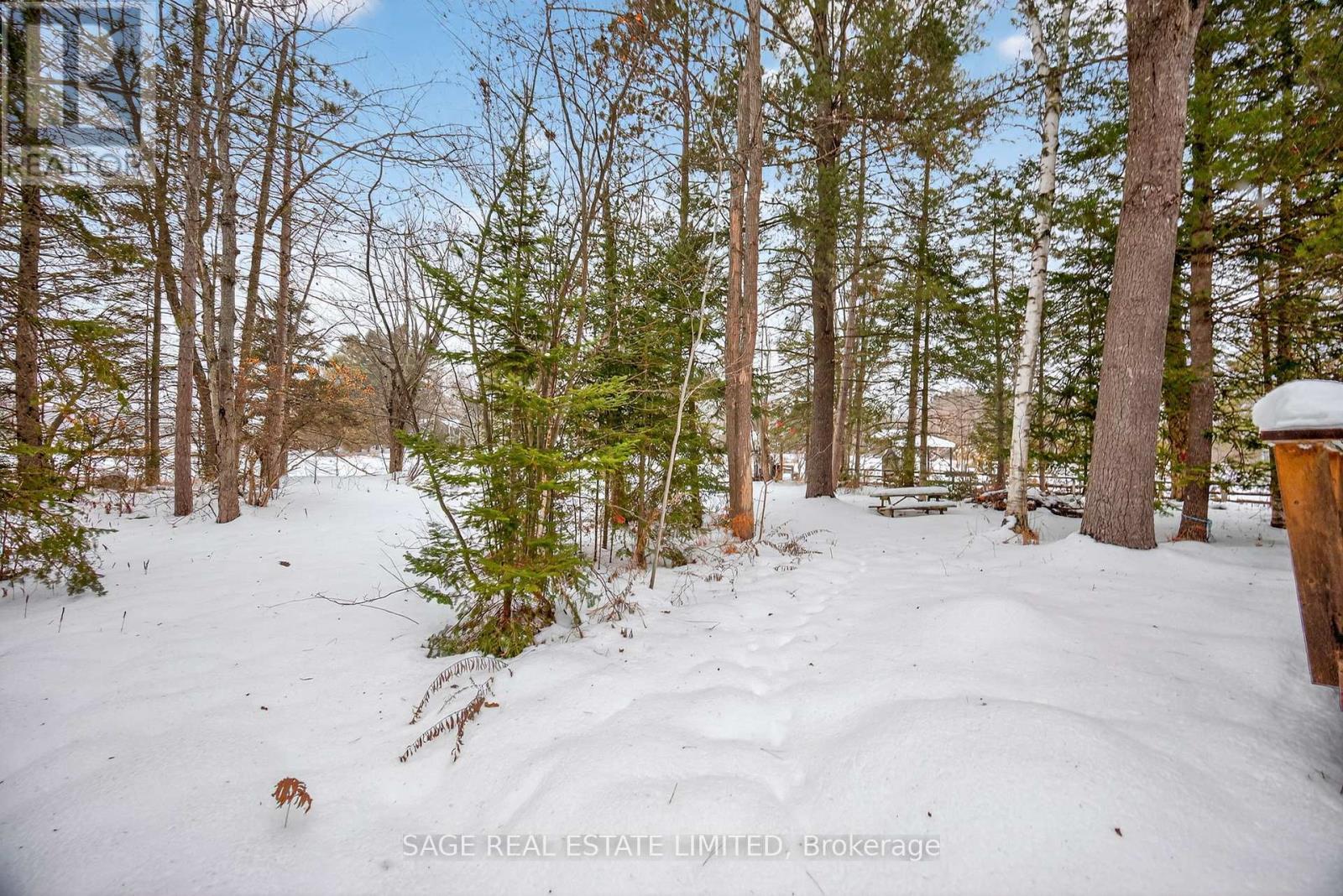 7856 Birch Drive, Ramara, ON - Outdoor With View