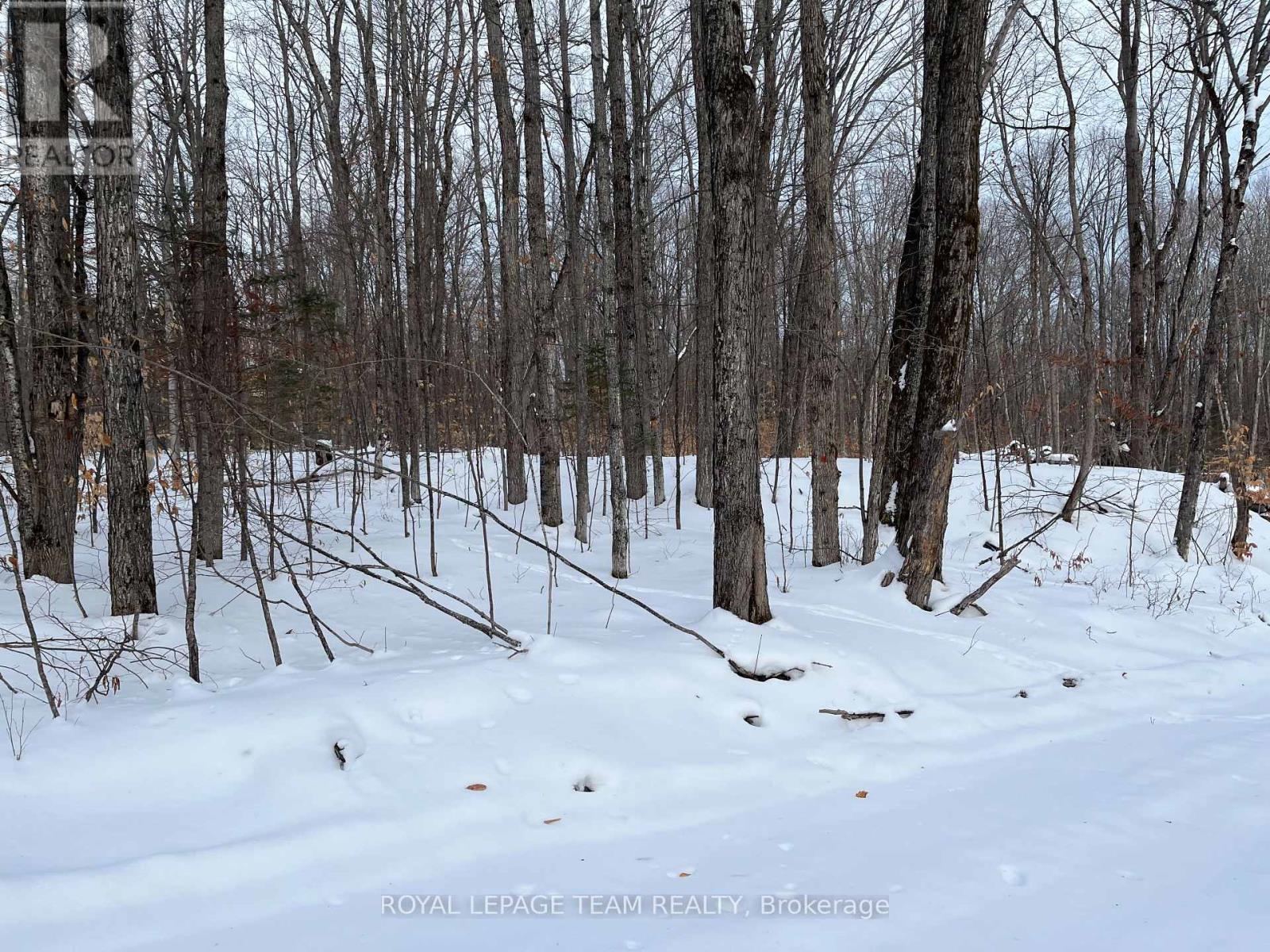 01 Siberia Road, Madawaska Valley, ON
