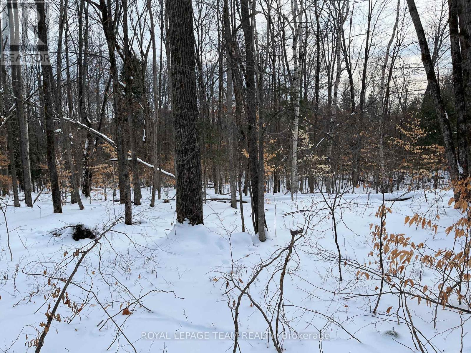 01 Siberia Road, Madawaska Valley, ON