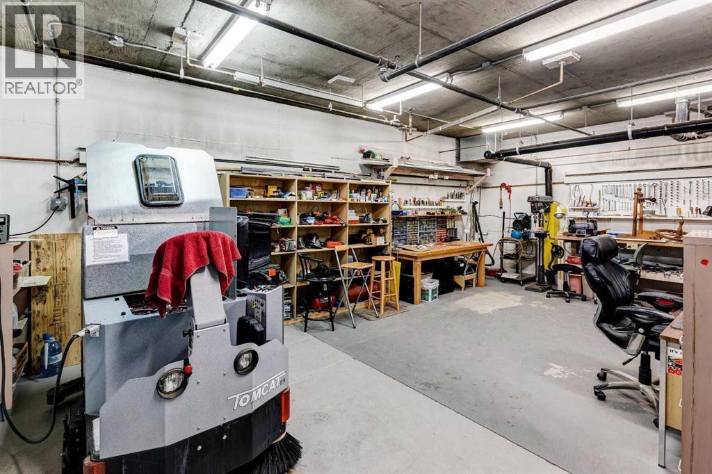 201, 223 Tuscany Springs Boulevard Nw, Calgary, AB - Indoor Photo Showing Garage