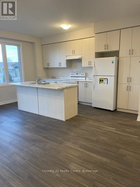 6 Mockingbird Lane, Hamilton, ON - Indoor Photo Showing Kitchen With Double Sink