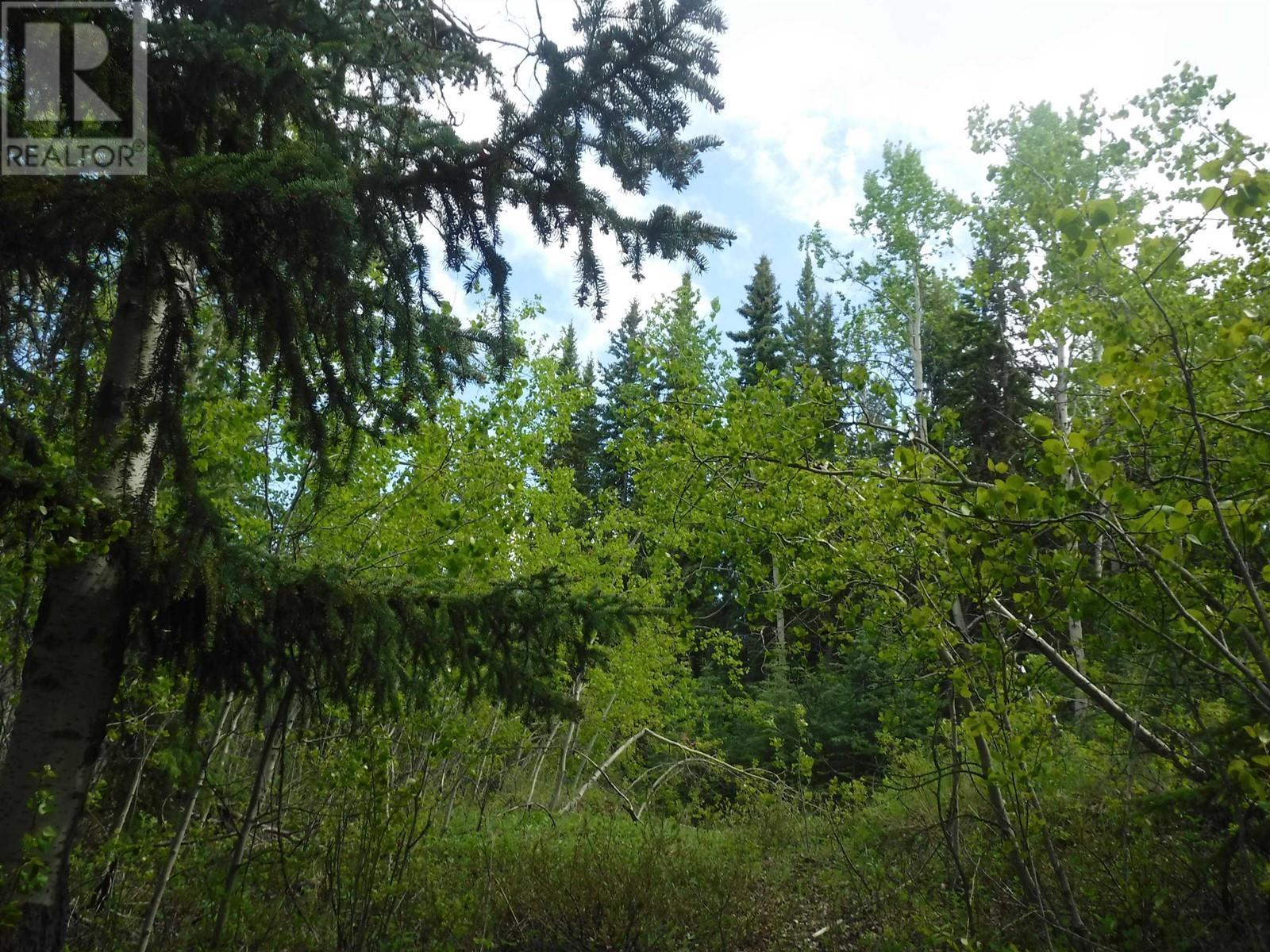 Chilcotin Highway, Chilcotin, BC