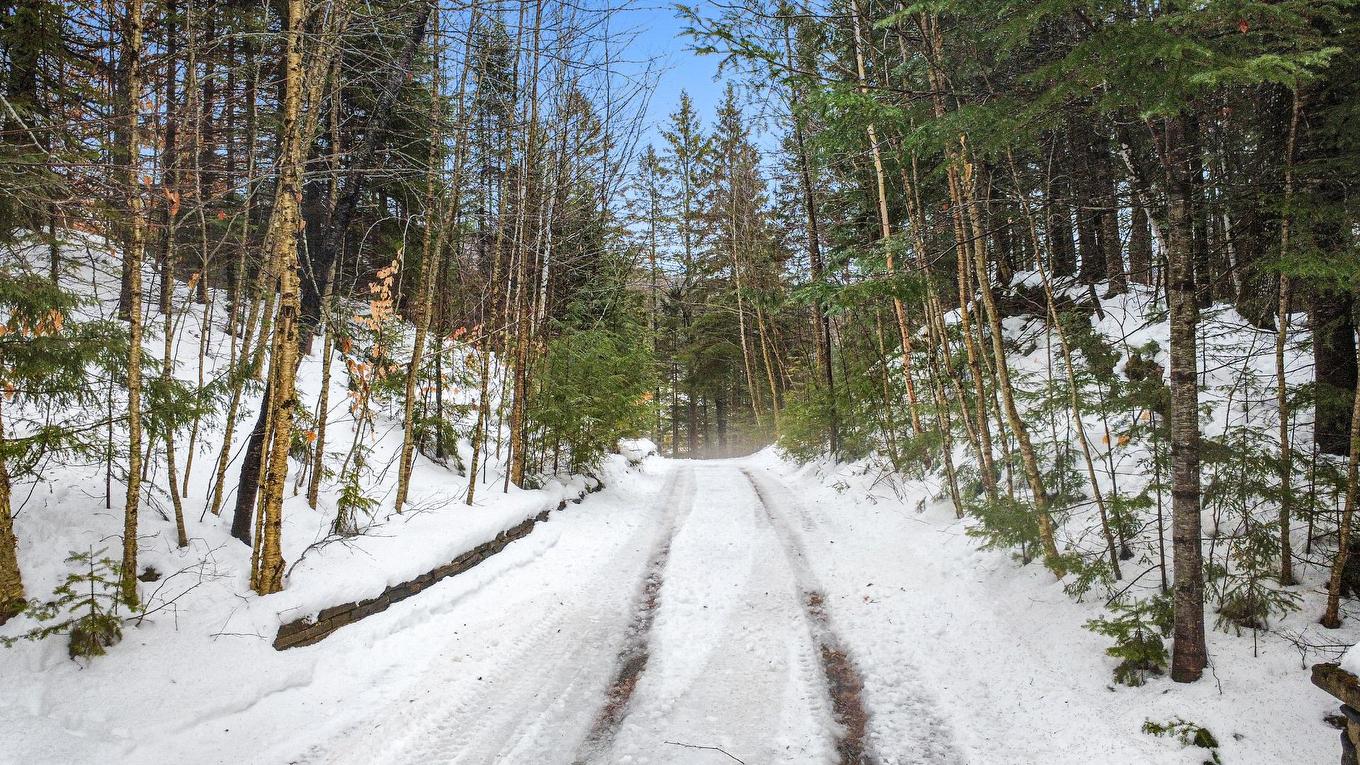 Backyard - 307 Ch. Des Aigles, Nominingue, QC - Outdoor