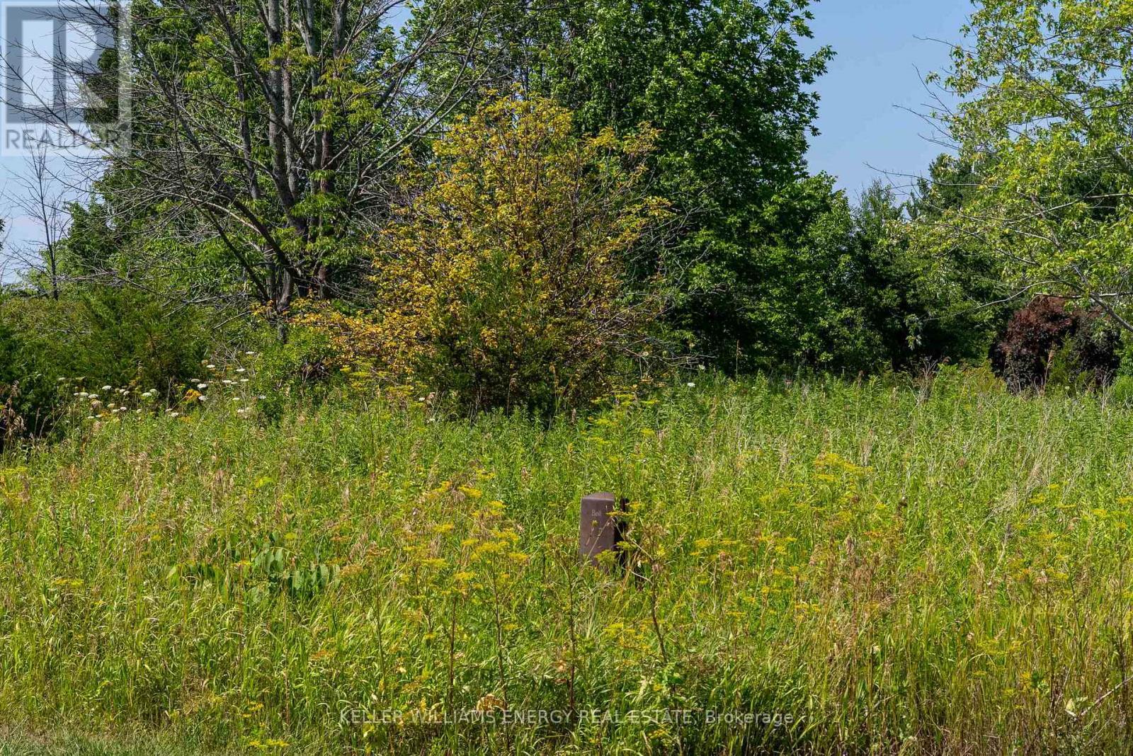 0 North Marysburgh Court, Prince Edward County (North Marysburg Ward), ON