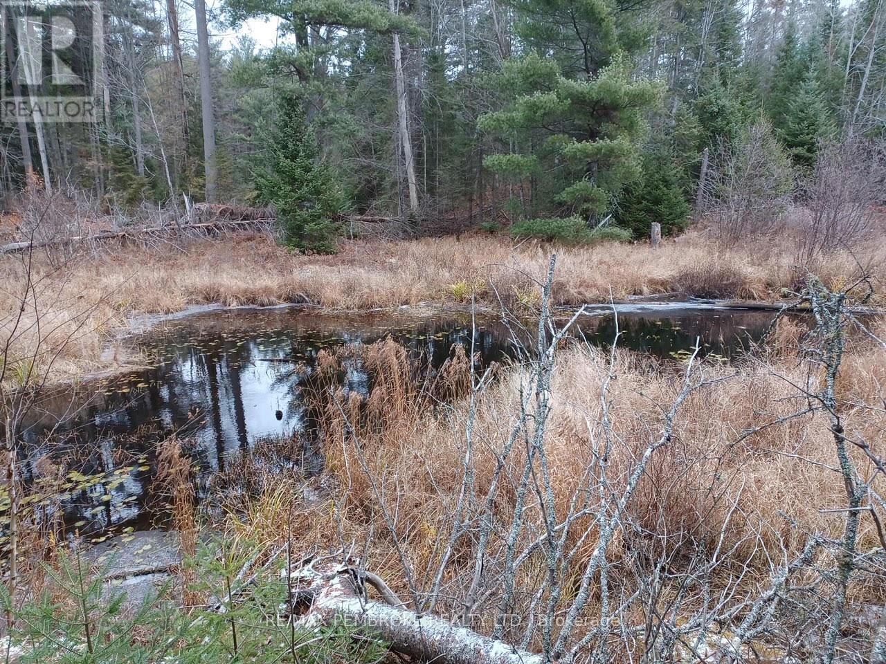 1678 Locksley Road, Laurentian Valley, ON