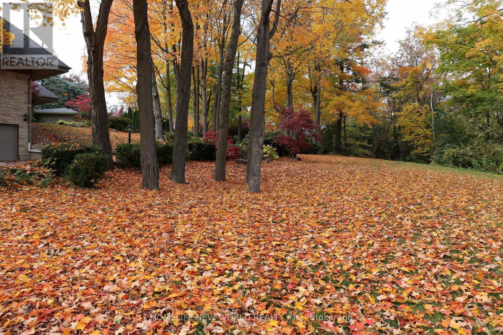 13867 Woodbine Avenue, Whitchurch-Stouffville, ON - Outdoor