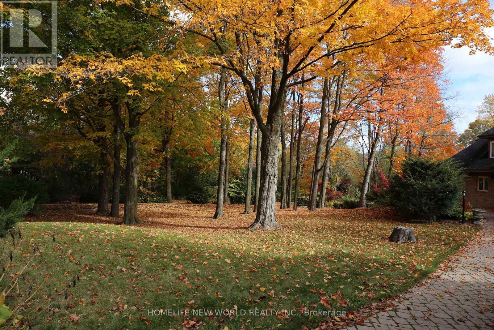 13867 Woodbine Avenue, Whitchurch-Stouffville, ON - Outdoor