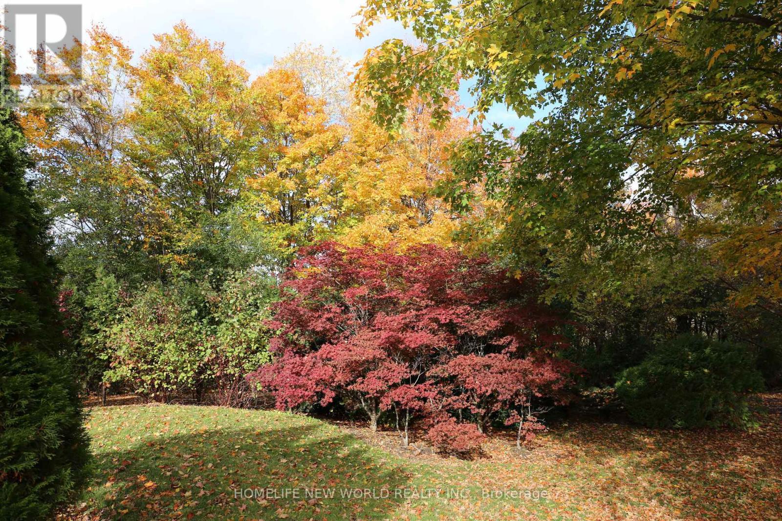 13867 Woodbine Avenue, Whitchurch-Stouffville, ON - Outdoor