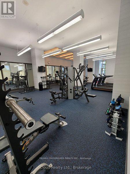 2504 - 181 Wynford Drive, Toronto, ON - Indoor Photo Showing Gym Room