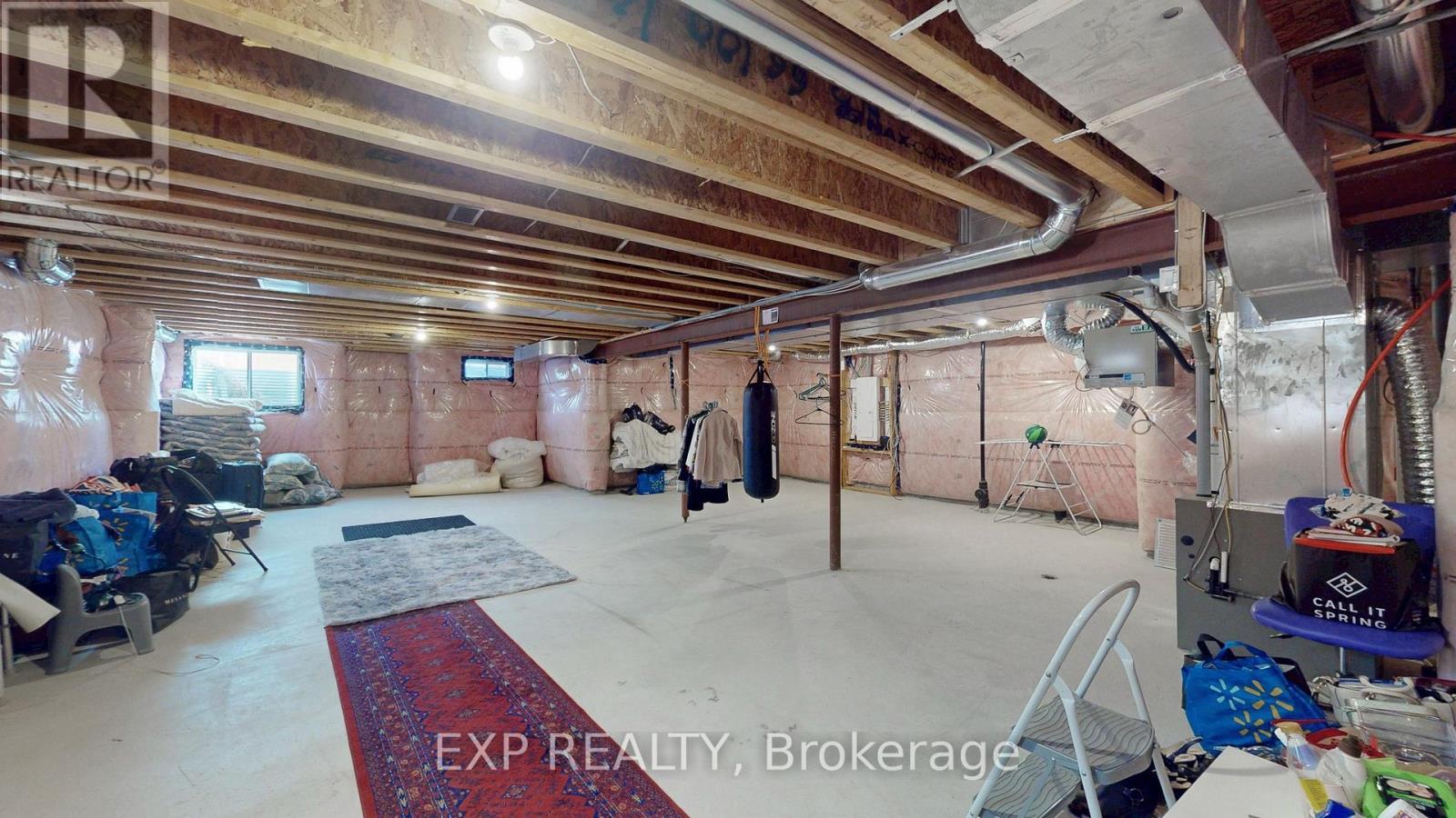 19 Meadow Vista Crescent, East Gwillimbury, ON - Indoor Photo Showing Basement
