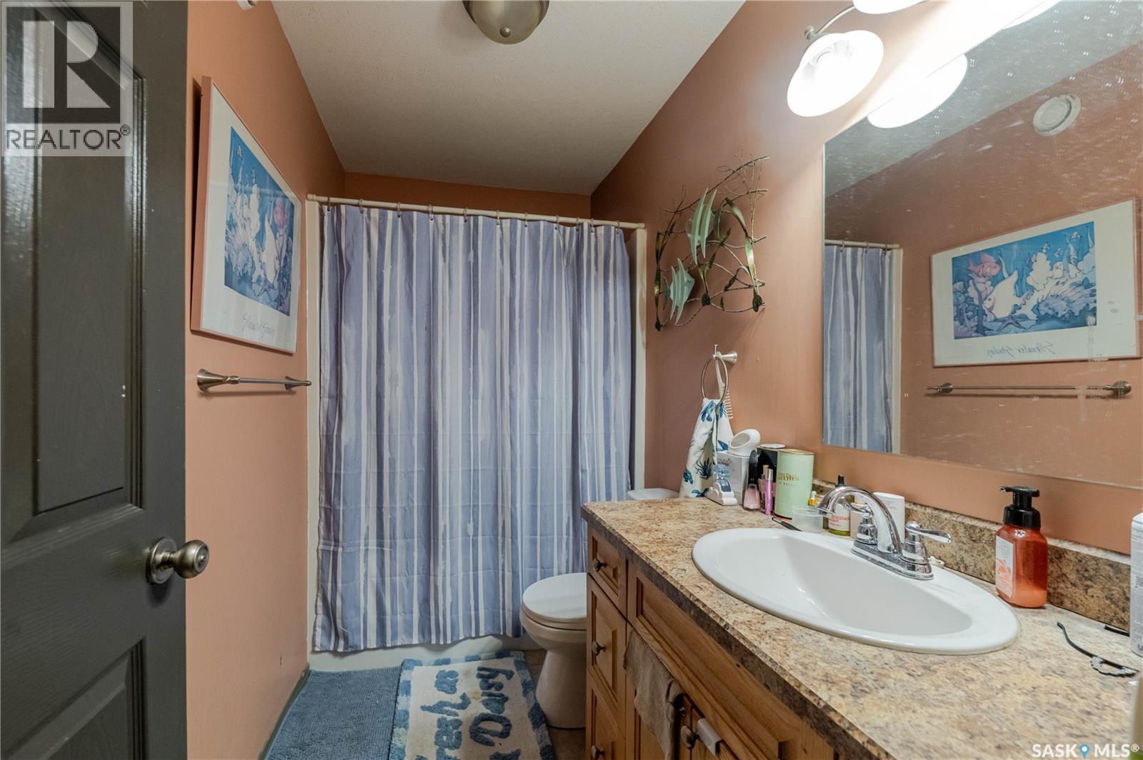 294 Wellington Drive, Moose Jaw, SK - Indoor Photo Showing Bathroom
