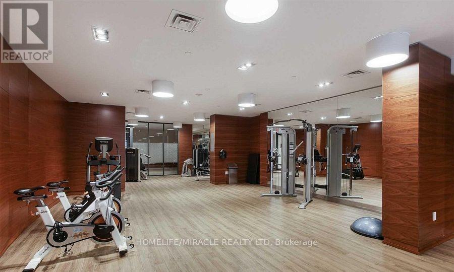 809 - 9 Valhalla Inn Road, Toronto, ON - Indoor Photo Showing Gym Room