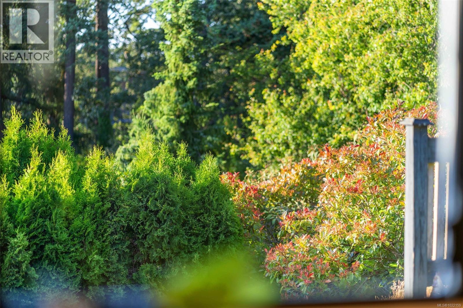 Beautiful Mature Landscaping - 994 Landeen Pl, Saanich, BC - Outdoor