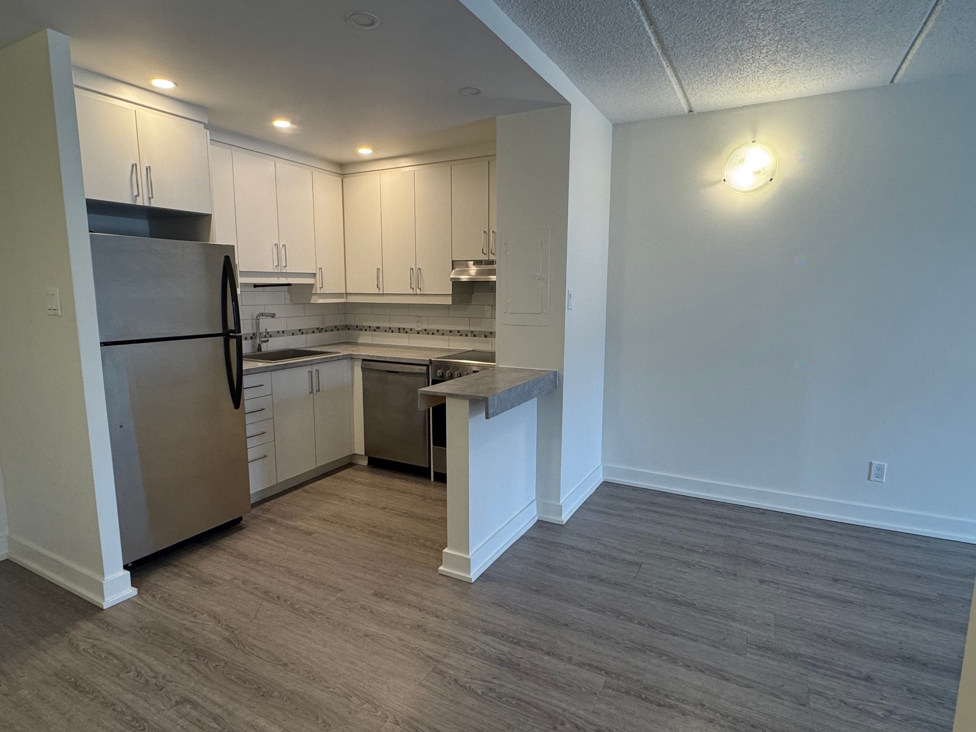 Dining Room - 207-668 Rue De Gaspé, Montréal (Verdun/Île-Des-Soeurs), QC - Indoor Photo Showing Kitchen
