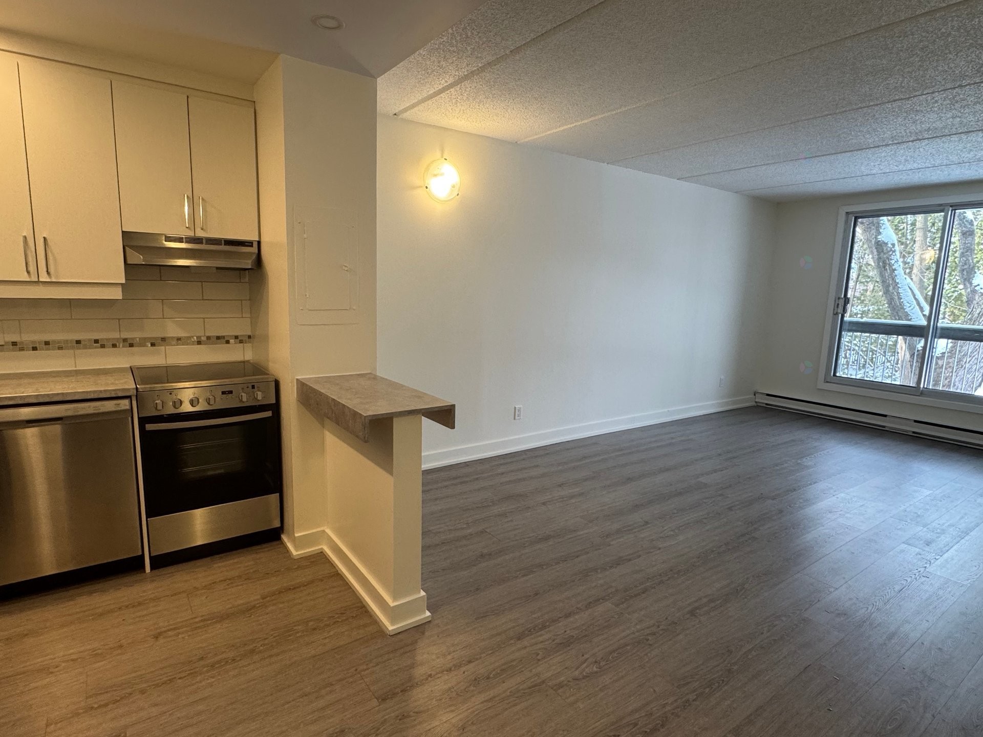 Living Room - 207-668 Rue De Gaspé, Montréal (Verdun/Île-Des-Soeurs), QC - Indoor Photo Showing Kitchen