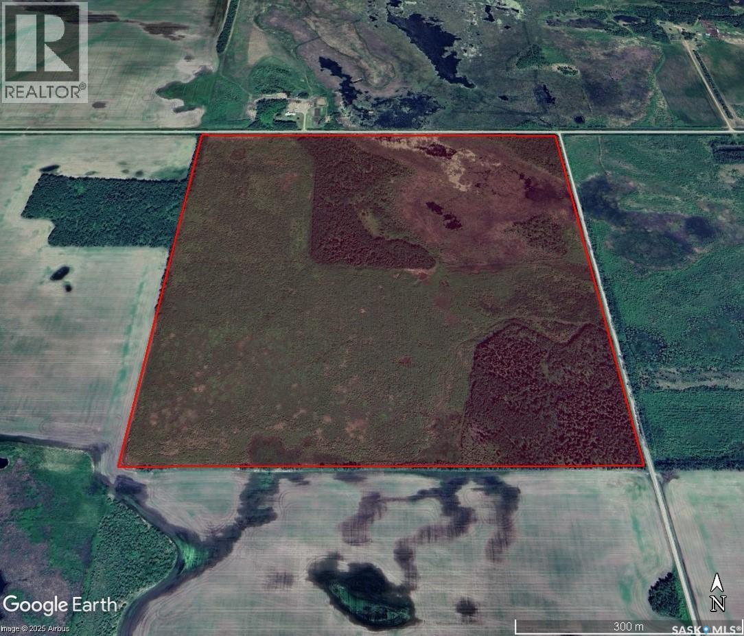 Choiceland Quarter Rm #488, Torch River Rm No. 488, SK