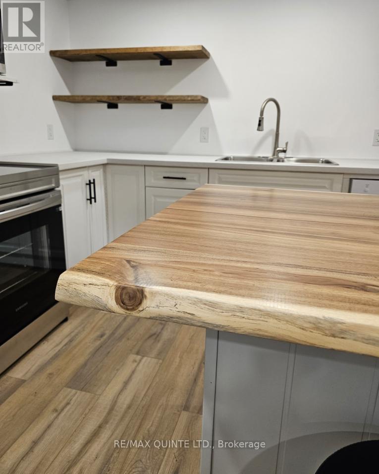 Lower level - 620 Sidney Street, Belleville (Belleville Ward), ON - Indoor