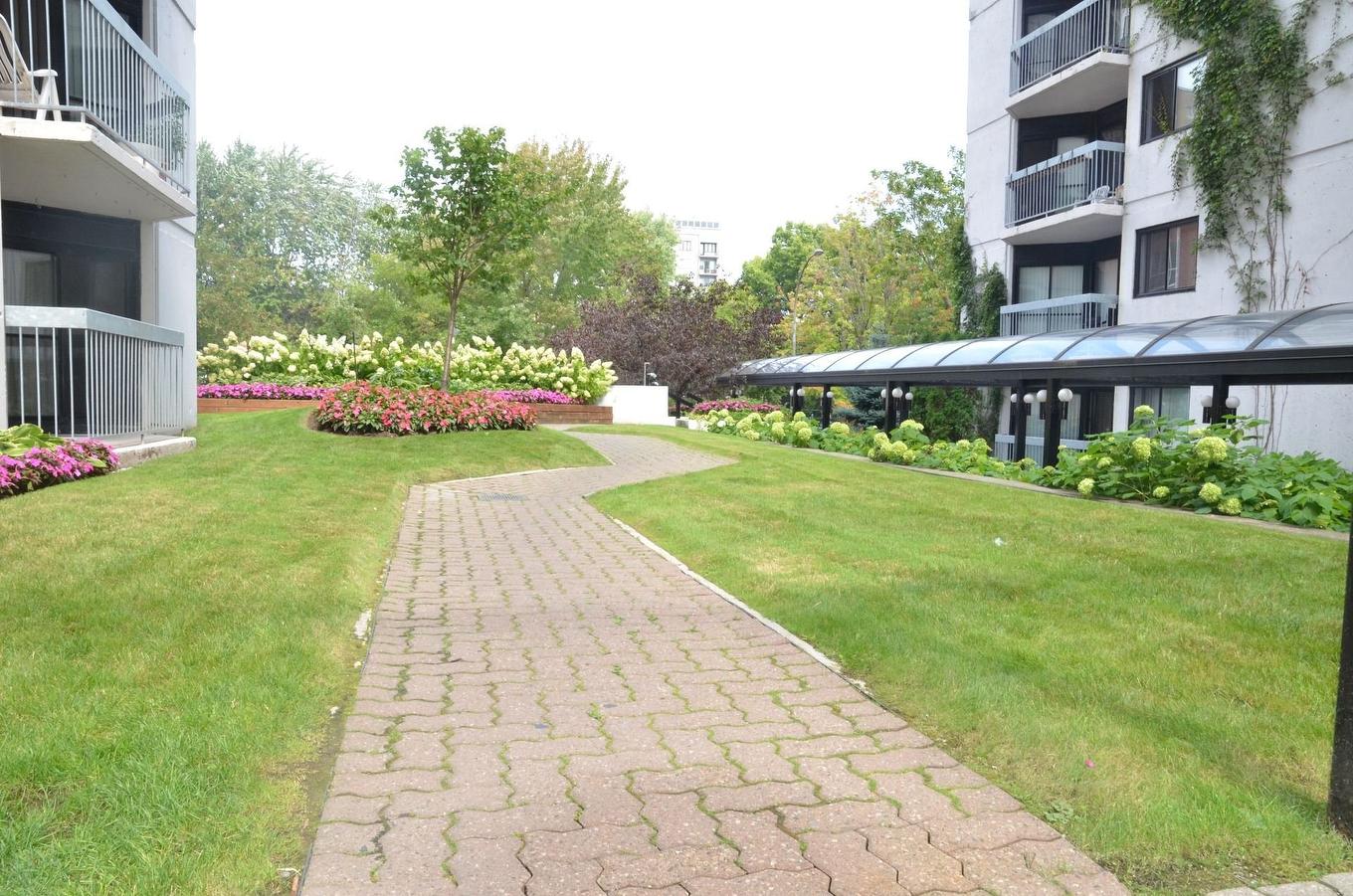 Jardin - 712-3470 Rue Simpson, Montréal (Ville-Marie), QC - Outdoor