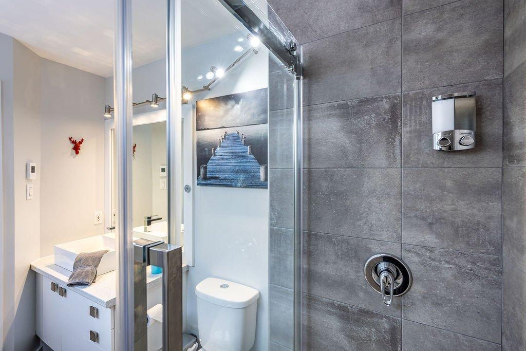 Bathroom - 3 Rue De La Ferréolaise, Saint-Ferréol-Les-Neiges, QC - Indoor Photo Showing Bathroom