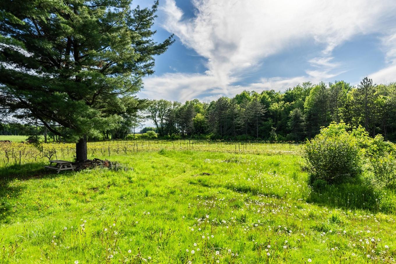 Backyard - 136 Rg Grand-Sabrevois, Sainte-Anne-De-Sabrevois, QC - Outdoor With View