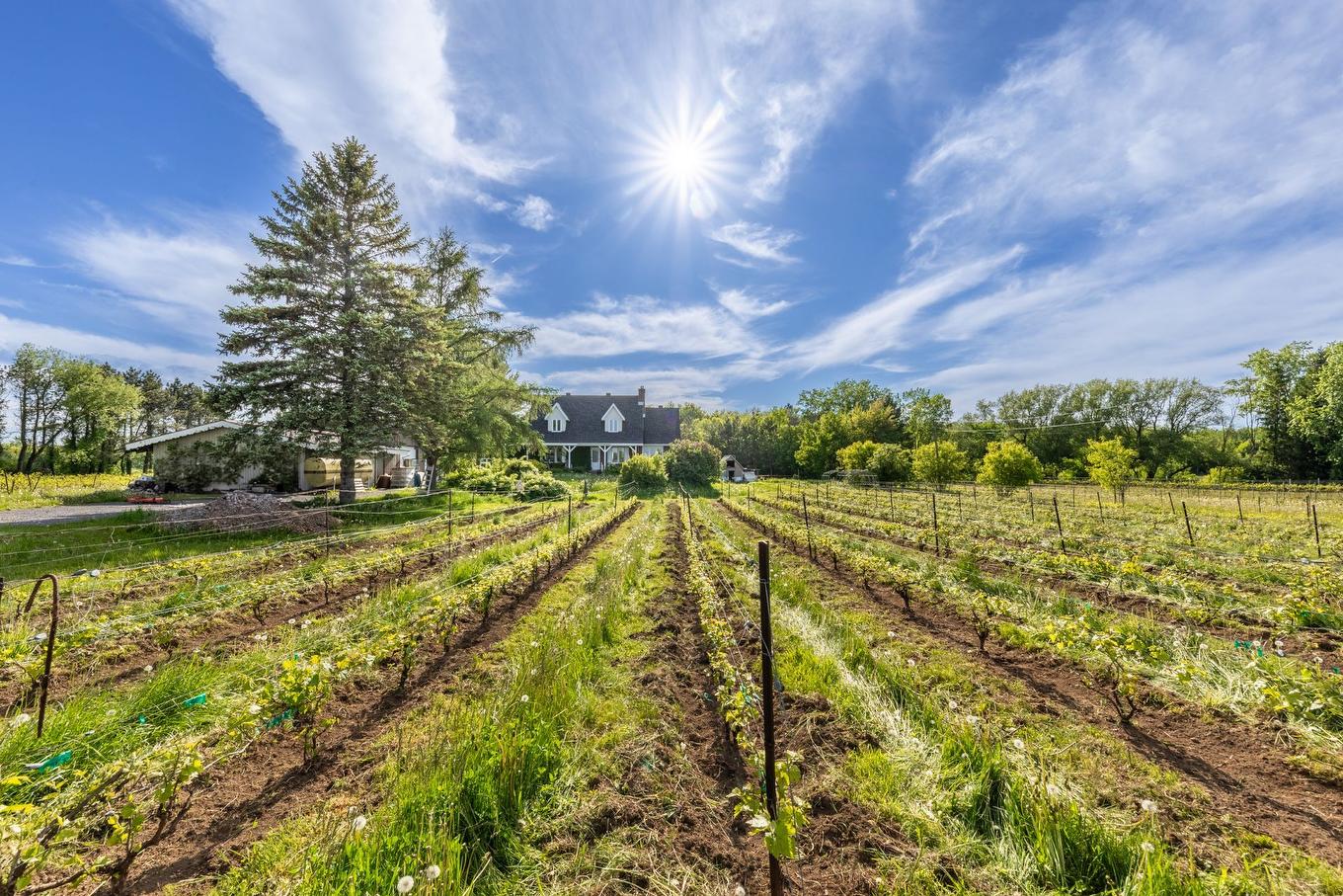 Other - 136 Rg Grand-Sabrevois, Sainte-Anne-De-Sabrevois, QC - Outdoor With View