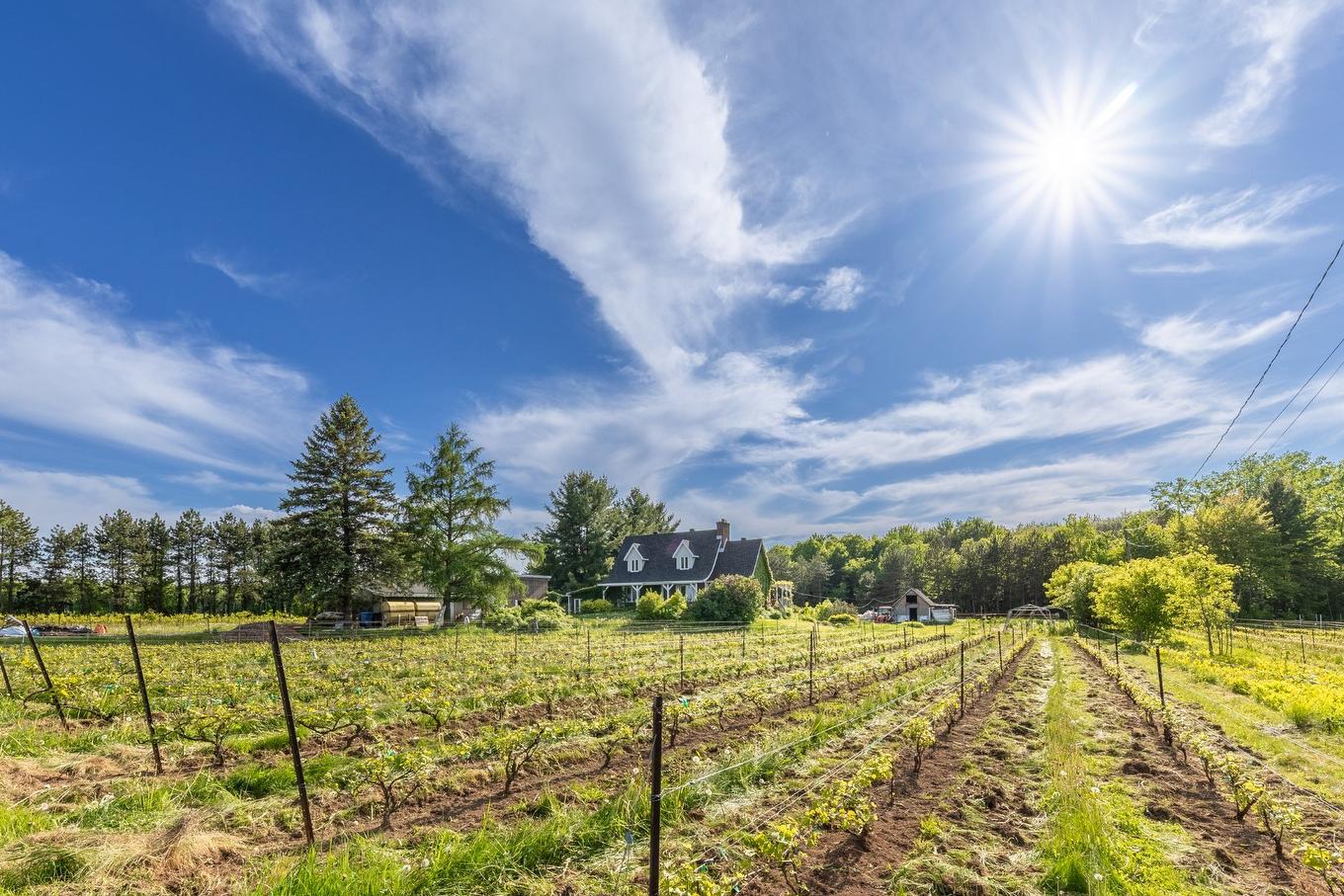 Other - 136 Rg Grand-Sabrevois, Sainte-Anne-De-Sabrevois, QC - Outdoor With View