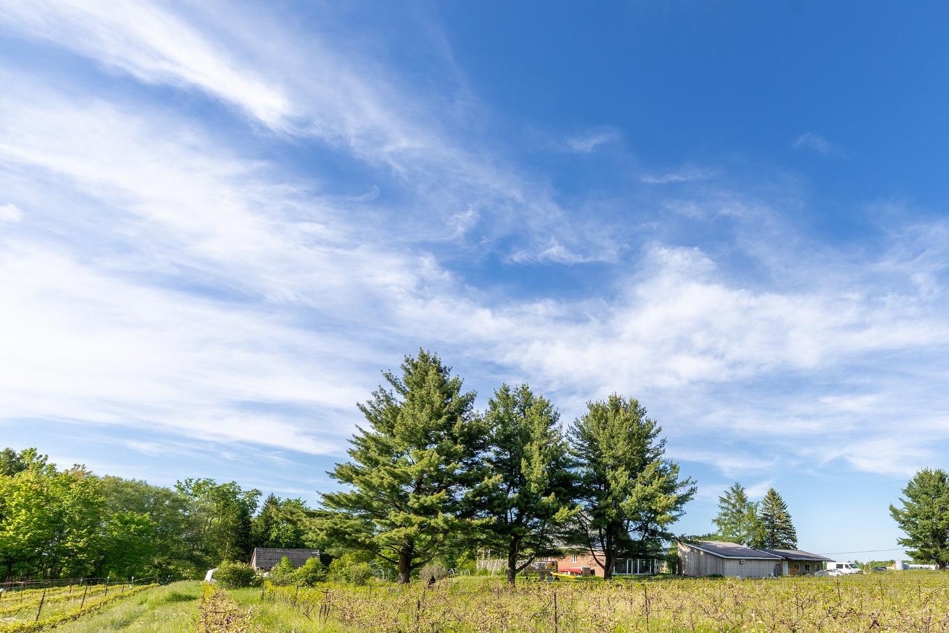 Other - 136 Rg Grand-Sabrevois, Sainte-Anne-De-Sabrevois, QC - Outdoor With View