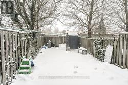 Backyard with new shed -