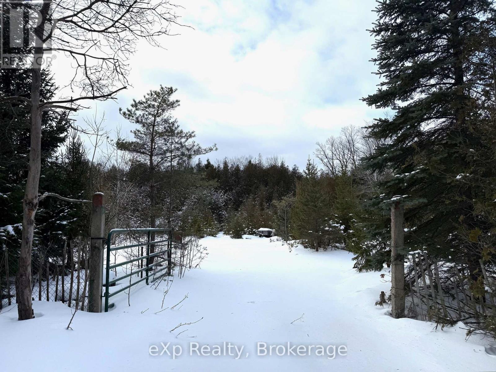173266 Mulock Road, West Grey, ON - Outdoor With View