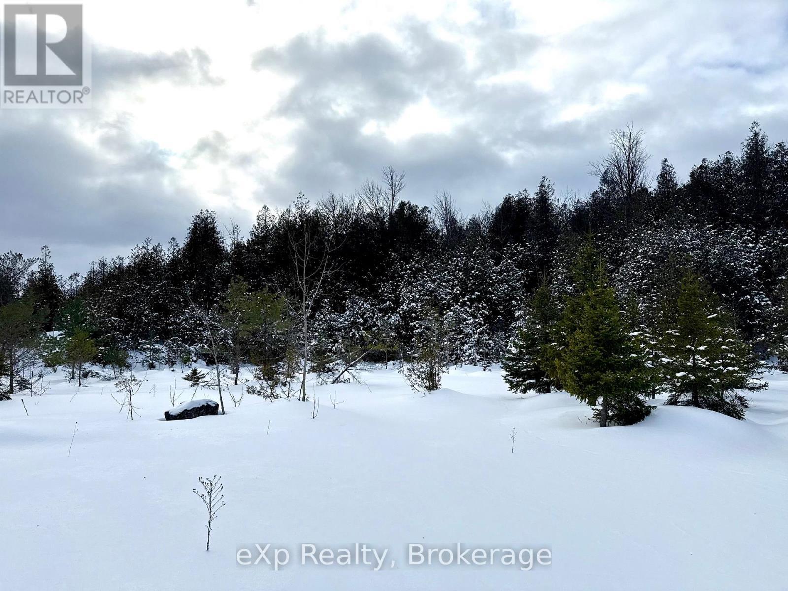 173266 Mulock Road, West Grey, ON - Outdoor With View