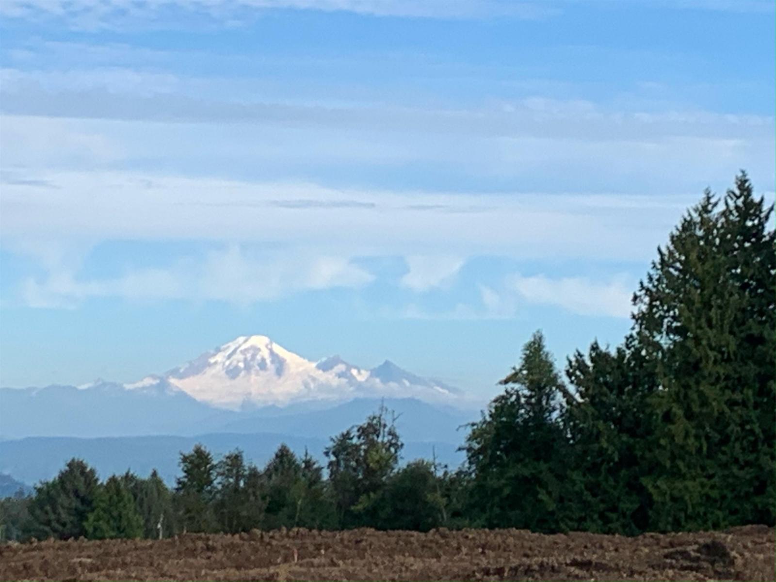 7141 Satchell Street, Abbotsford, BC