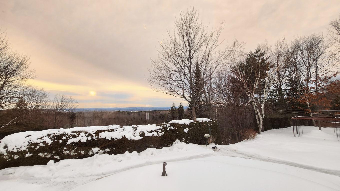 Vue - 621 Boul. Robitaille, Notre-Dame-Du-Mont-Carmel, QC - Outdoor