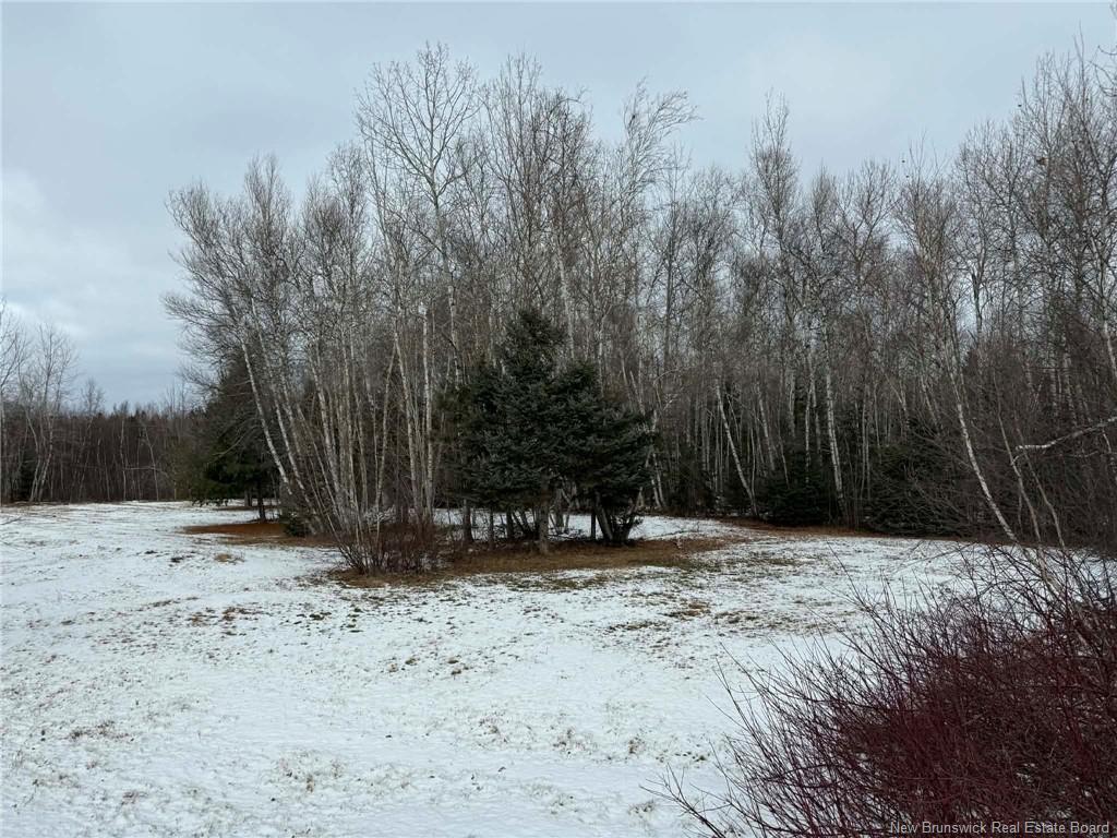 114 O'Hearn Rd, Napan, NB