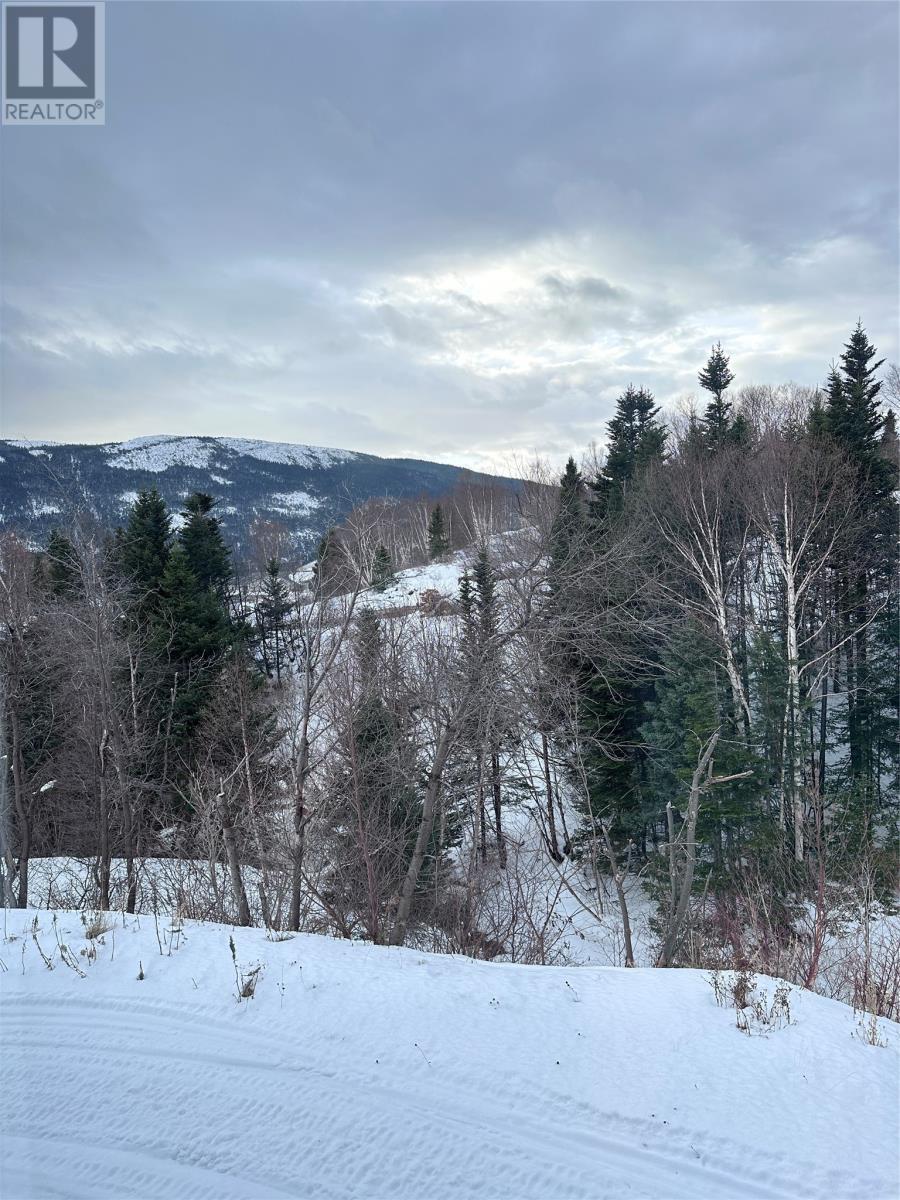 1 High Street, Middle Arm, NL - Outdoor With View