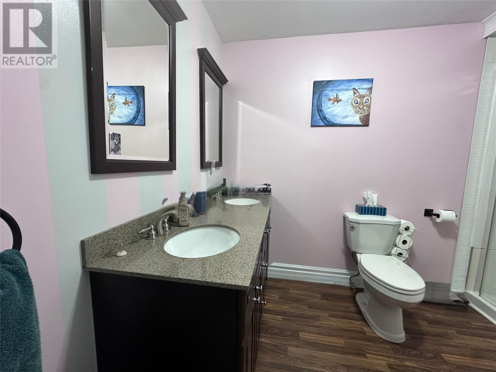 1 High Street, Middle Arm, NL - Indoor Photo Showing Bathroom