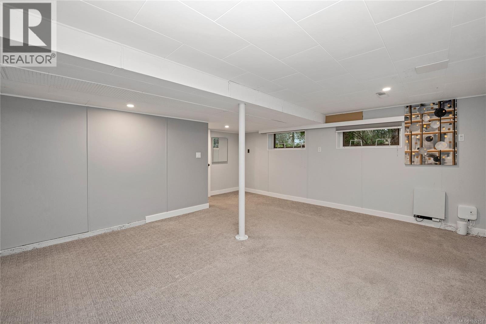 Downstairs flex space for media room, office, gym, extra bedroom - 2229 Arbutus Rd, Saanich, BC - Indoor