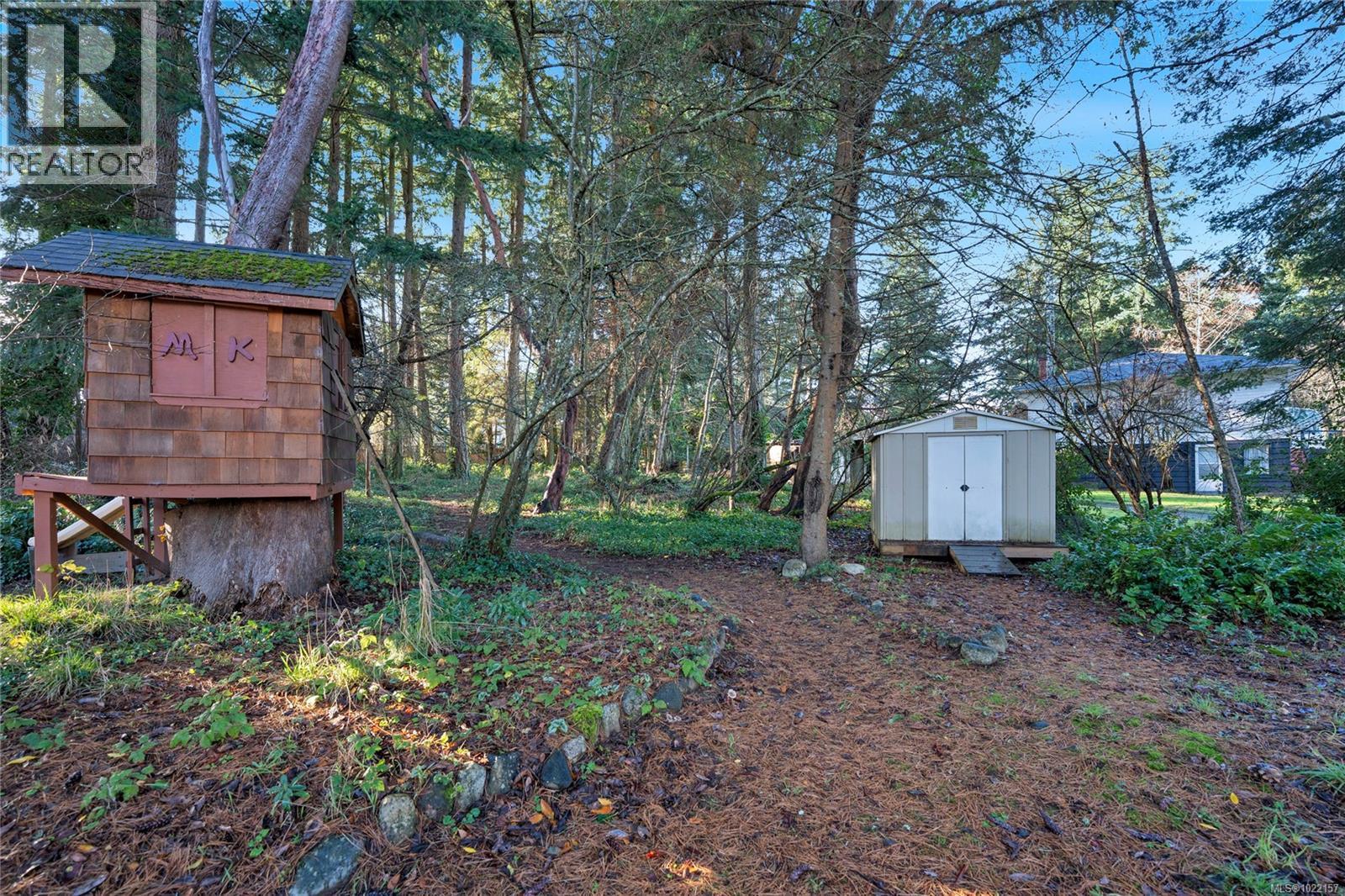 Forested back yard with playhouse and shed - 2229 Arbutus Rd, Saanich, BC - Outdoor