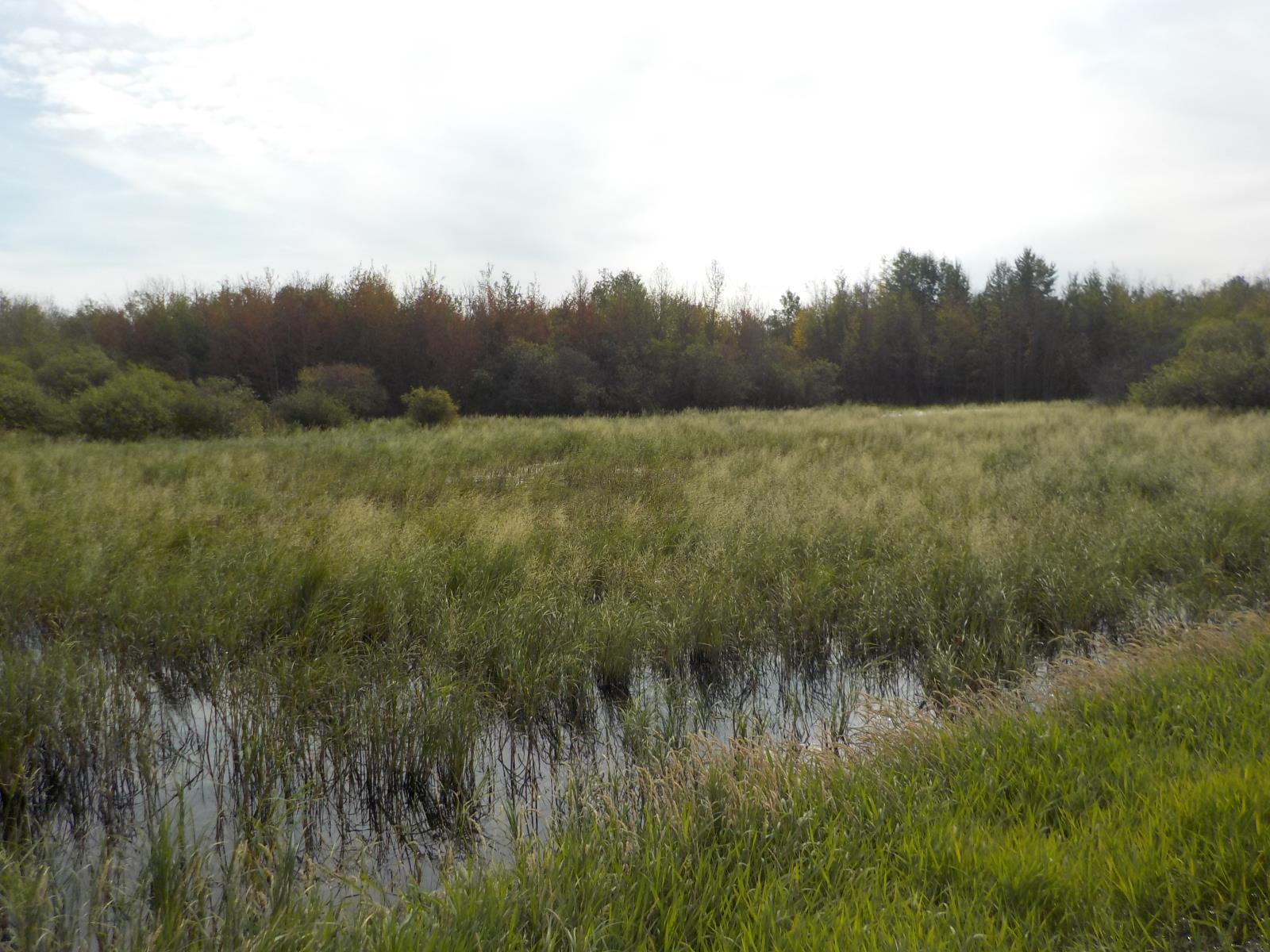 44 Street, Redwater, AB
