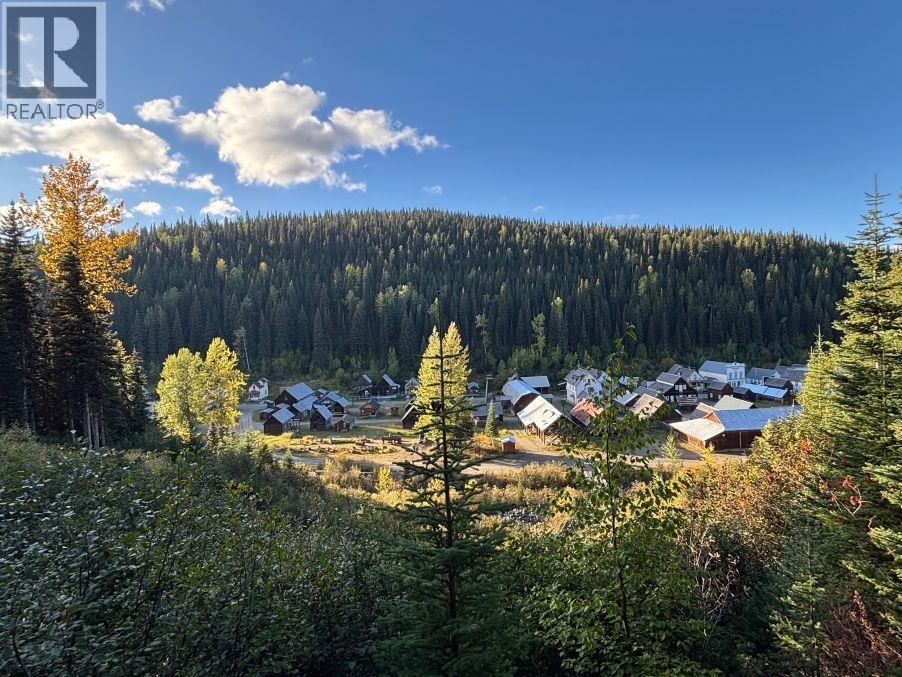 Main Street, Wells / Barkerville, BC