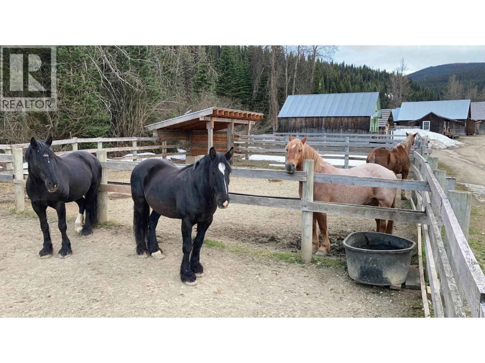 Main Street, Wells / Barkerville, BC