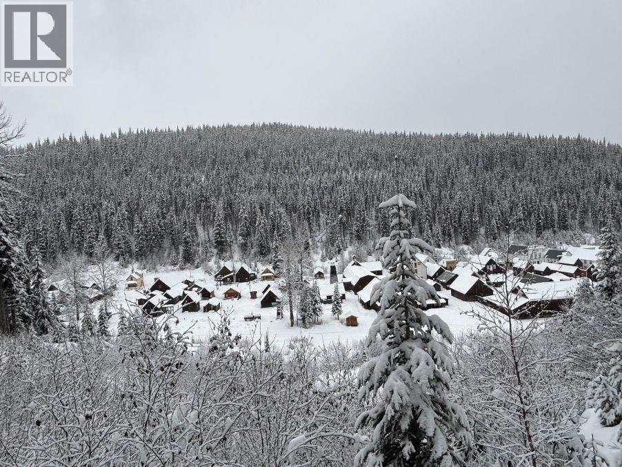 Main Street, Wells / Barkerville, BC