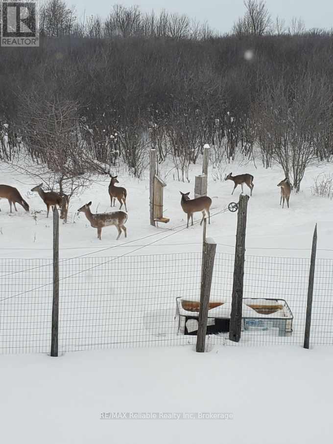 82675 Perth Road 180 Road, Huron East (Mckillop), ON - Other