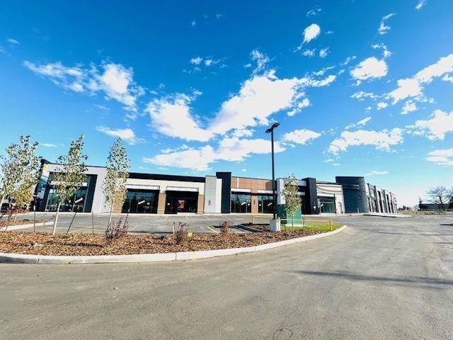 1139 103A Street Sw, Edmonton, AB