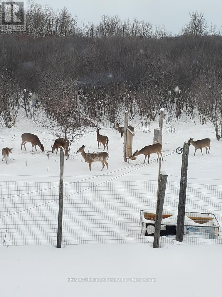 82675 Perth Road 180 Road, Huron East (Mckillop), ON