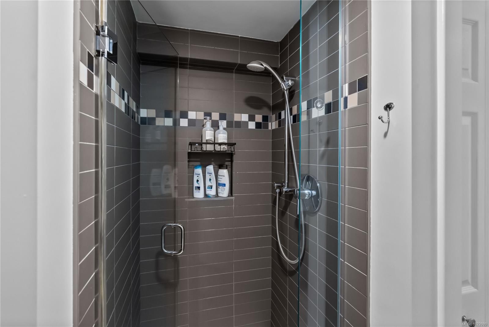 2879 Phyllis St, Saanich, BC