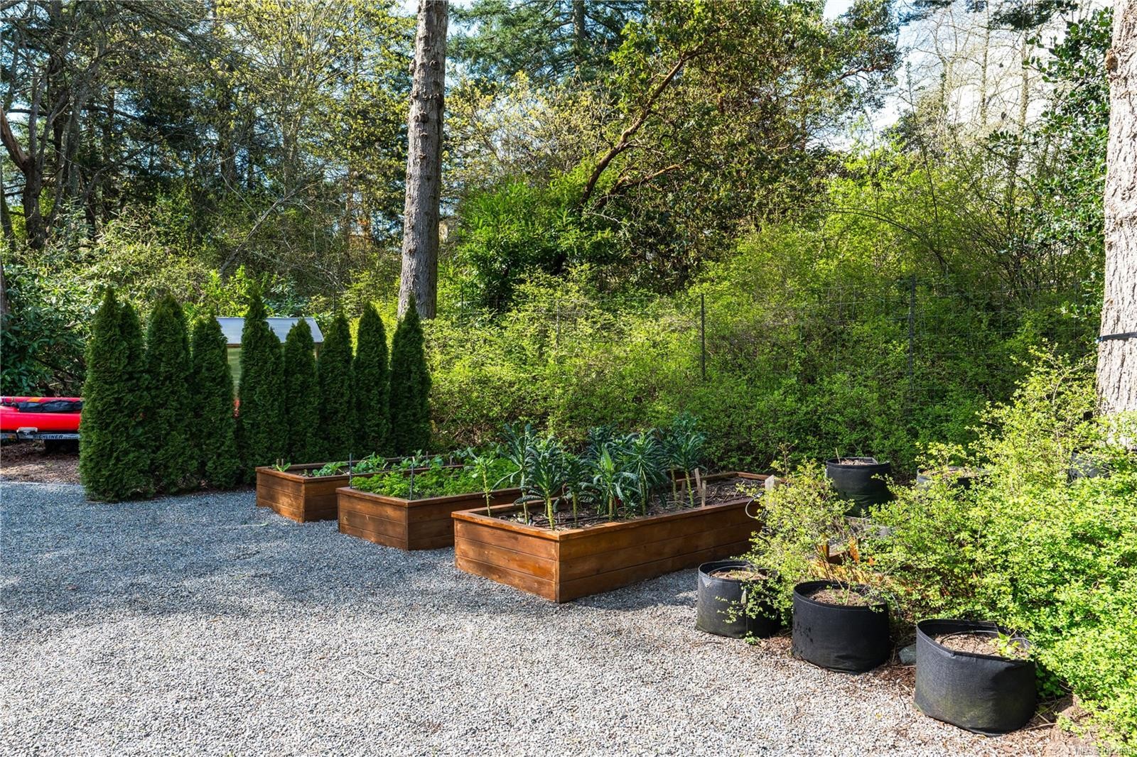 2879 Phyllis St, Saanich, BC